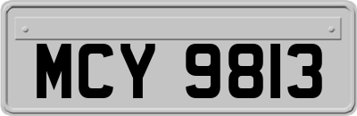 MCY9813
