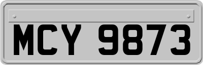 MCY9873