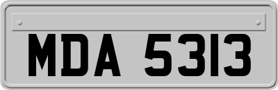 MDA5313