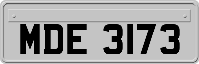 MDE3173