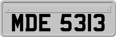 MDE5313