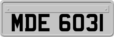 MDE6031