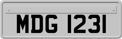 MDG1231