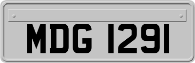 MDG1291