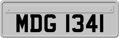 MDG1341