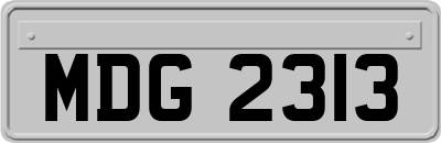 MDG2313