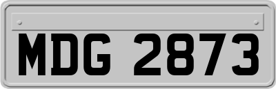 MDG2873