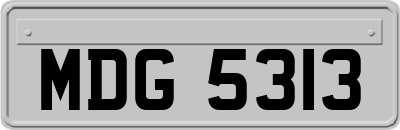 MDG5313