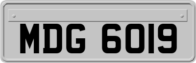 MDG6019