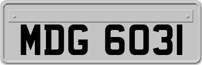 MDG6031