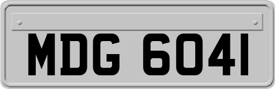 MDG6041