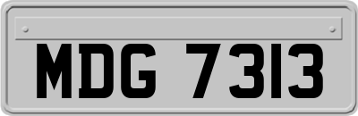 MDG7313