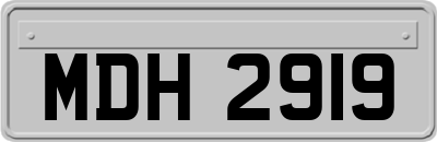 MDH2919