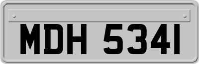 MDH5341