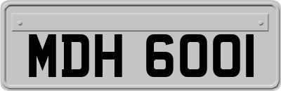 MDH6001