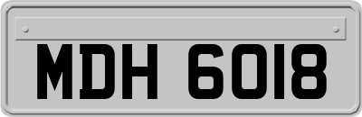 MDH6018
