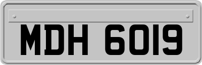 MDH6019