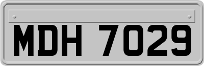 MDH7029