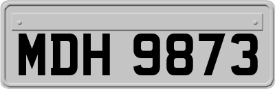 MDH9873