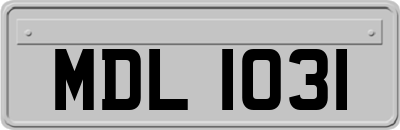 MDL1031