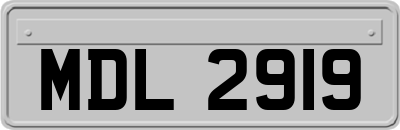 MDL2919