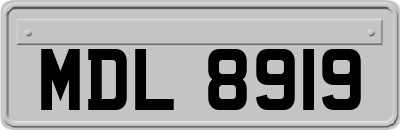 MDL8919