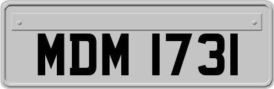 MDM1731