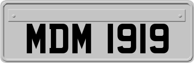 MDM1919
