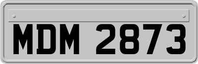 MDM2873