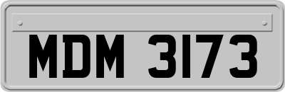 MDM3173