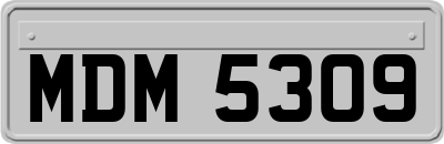 MDM5309