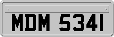 MDM5341