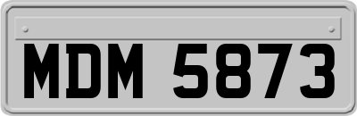 MDM5873
