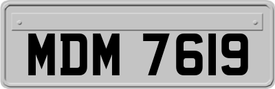 MDM7619