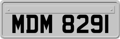 MDM8291