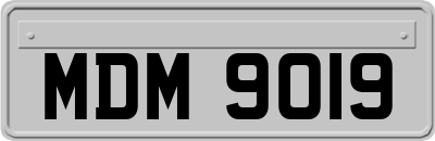 MDM9019