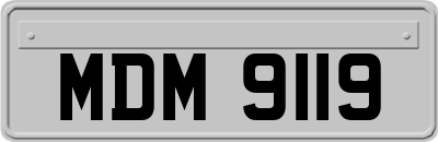 MDM9119