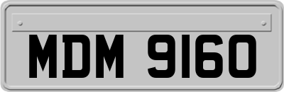 MDM9160