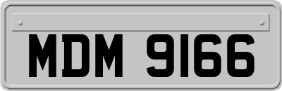 MDM9166