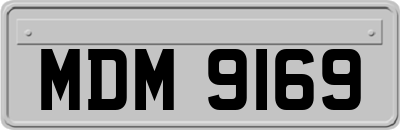 MDM9169