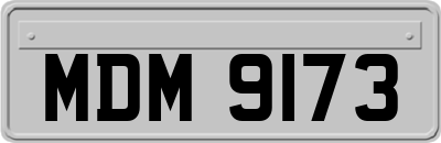 MDM9173
