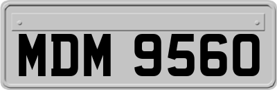 MDM9560