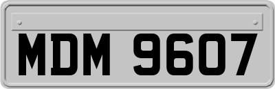 MDM9607