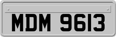 MDM9613