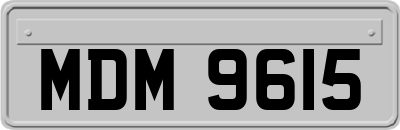 MDM9615