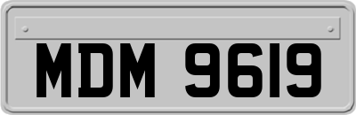 MDM9619