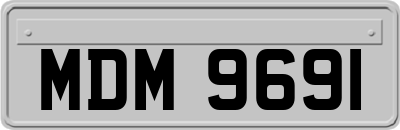 MDM9691