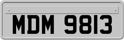 MDM9813