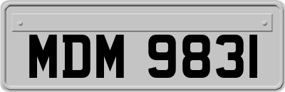 MDM9831