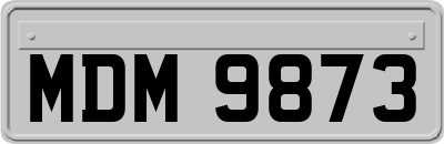 MDM9873